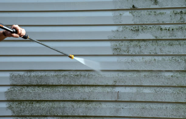 Deck Cleaning Services in College Place, WA