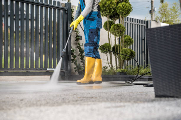 Best Roof Pressure Washing  in College Place, WA